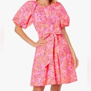 Lilly Pulitzer Knoxlie Mandevilla Baby Days Bloom Pink Dress Size 6